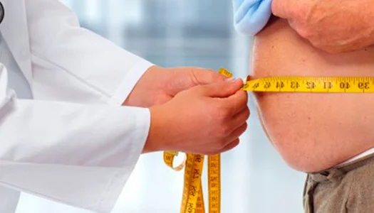 Obesidade & Adiposidade - Amme Endocrinologia Palmas