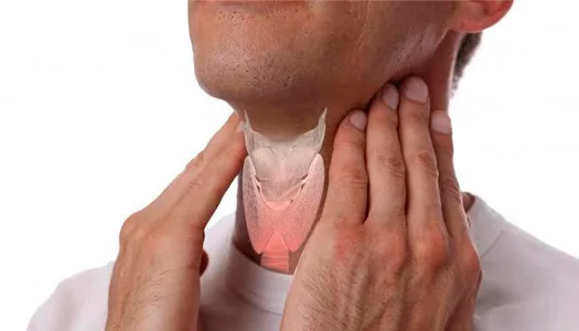 Distúrbios da Tireoide - Amme Endocrinologia Palmas
